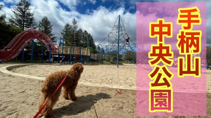 【姫路ペット散歩】ペットと一緒に散歩ができる手柄山中央公園