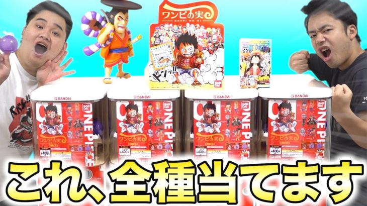 ガシャポンでワンピースの新フィギュア全部そろうまで終われませんやったら伏線に気付いてしまいました！？