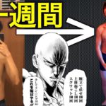 一週間ワンパンマン/サイタマの筋トレ全力でした【ダイエット】