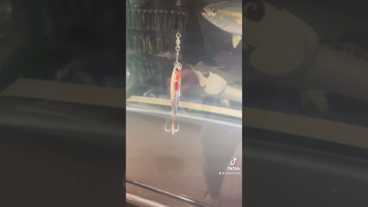 新潟県上越のフィッシャーズにて。#ショアジギング#ルアー#ジグパラ#青物