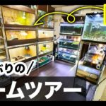 【ルームツアー】最新のペット飼育部屋を紹介します