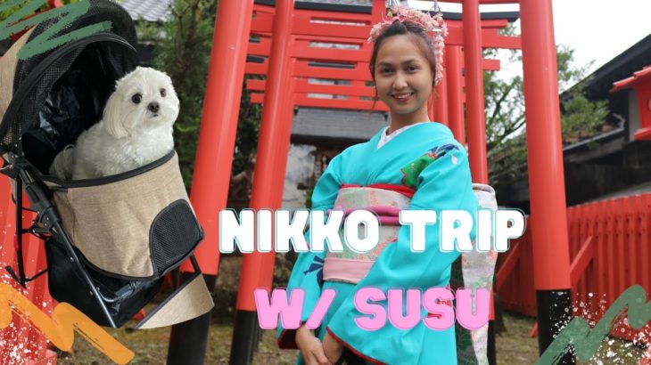 JAPAN TRIP ke NIKKO BARENG SUSU🐶 & KELUARGA HOMESTAY🇯🇵 ペットと行く日光・鬼怒川温泉旅行♨️