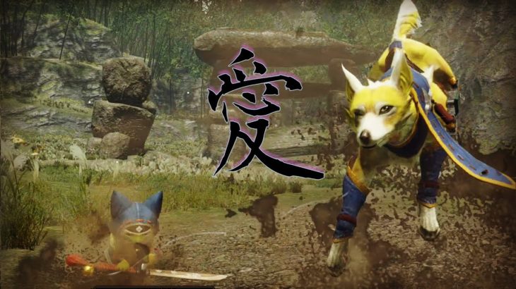 家のペットは金もダメージも稼いでくれる【MHRise】