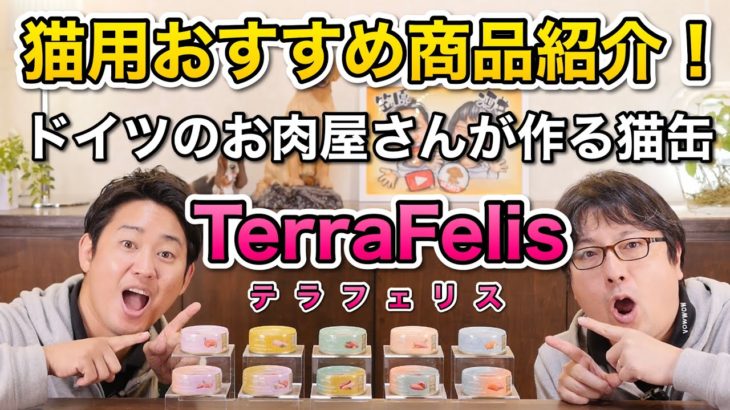 おすすめの猫用缶詰！【TerraFelis/テラフェリス】をペットショップ店長が解説します！