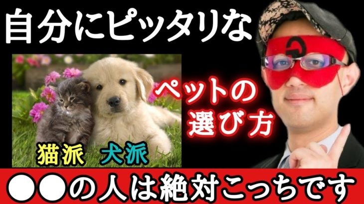 【ゲッターズ飯田】ペットを飼う前に必ず見て下さい！自分の性格に合った、貴方にピッタリのペットの選び方。「犬と猫　パンダ　五星三心占い」