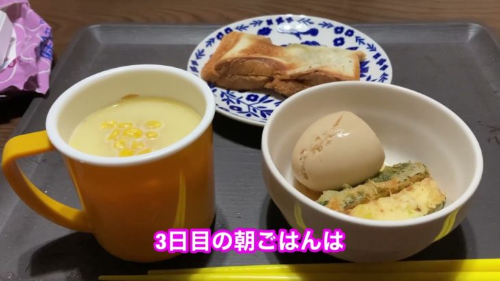 1年間真面目にダイエットしてみます#１２