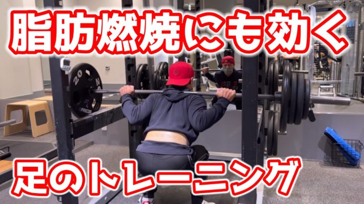 【本舗タクティV2】【ダイエット】脂肪燃焼にも効く足のトレーニング！