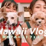 【ハワイVLOG】愛犬と初ペットフェスに行ってみたよ！🐶  | vlogmas
