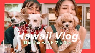 【ハワイVLOG】愛犬と初ペットフェスに行ってみたよ！🐶  | vlogmas