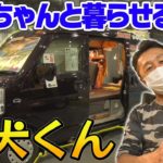 【ペット】ワンちゃん専用キャンピングカー &超豪華英国製トレーラー