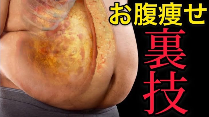 【１０分】下腹部と腰肉ダイエット方法！ズボラストレッチ