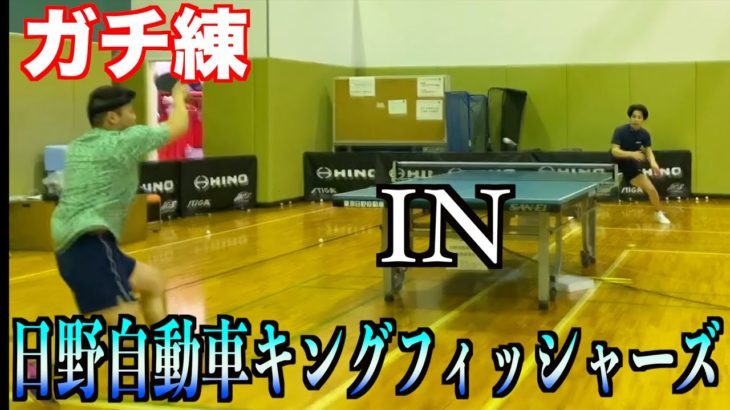 【卓球】実業団　日野自動車キングフィッシャーズの選手とガチ練習をしました。【ガチ練】