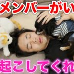 【癒し】チクワ大活躍！？撮影始まるから起こしに行きます！