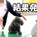 １か月間ダイエット頑張った結果!!