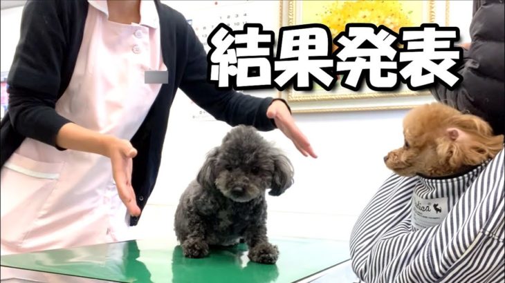 １か月間ダイエット頑張った結果!!