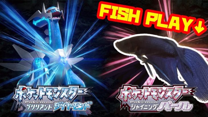 【シンジ湖編│1342h~】ペットの魚がポケモンクリア_Fish Play Pokemon【作業用BGM】