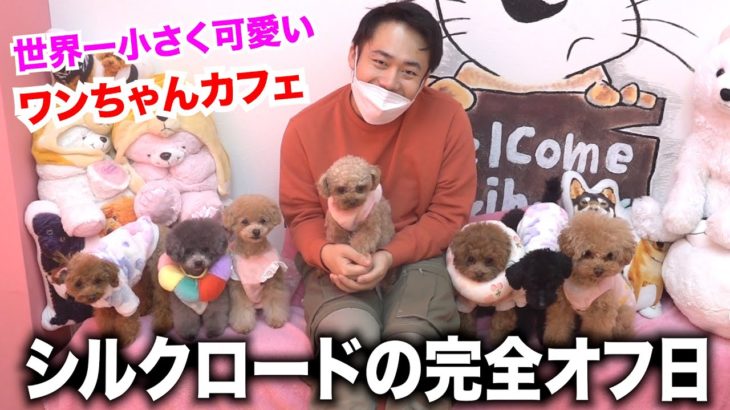 シルクロードに1日リアルなオフ日をつくったらどうやって過ごすか見たら可愛すぎたwww