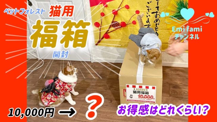 ［2022年 猫用福袋］ペットフォレスト　10,000円開封！