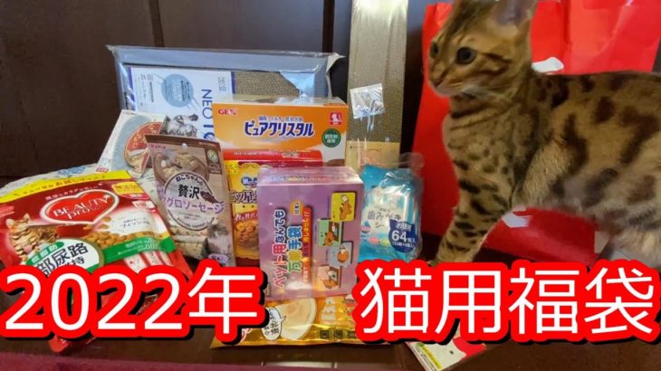 【福袋】2022年猫の福袋　マルエス3000円福袋　ひごペット1000円福袋