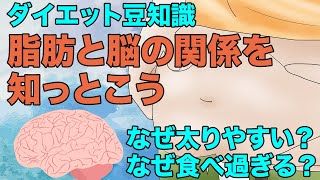 4分でわかる！ダイエットに不可欠知識、脳と脂肪の関係