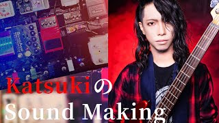 【俺流】歪み系ベースサウンドメイクについて話してみた【SAISEIGA】