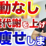 【ダイエット】運動なしで基礎代謝を上げて痩せる方法！カロリー制限しているのに太る人は要チェックです！