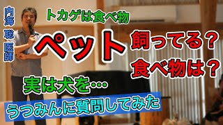 【内海聡】ペット飼ってる？食べ物はどうしますか？【うつみん】