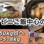 【ダイエットvlog】自炊しないとと思いつつコンビニ飯が美味しくてやめられない