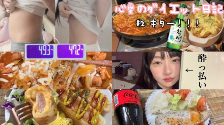 【韓国人のダイエット日記】 #2生理前一週間で-2kg🔥
