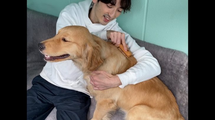 うちの子史上、最高の“うっとり顔” 〜 竹ピンブラシで、ワンニャン至福のマッサージ(2)