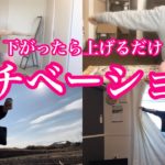 【体重・体型公開ダイエット】モチベーションは自分で高める！過去目標の45kgまで体重と体型、食事と運動全て見せます！