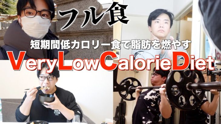 【短期勝負VLCD】ベリーローカロリーダイエット1日の食事と生活