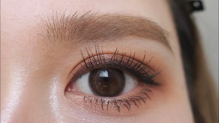 【アイメイク】ブラウンメイク🤎マスクでも盛れる😷💕眉毛〜アイメイクまで