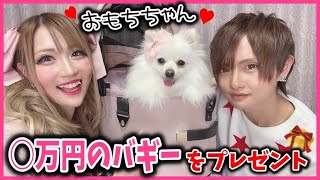 【デビュー】愛犬”おもち”に○万円の高級バギーをプレゼント🎁♥️【ペットカート】