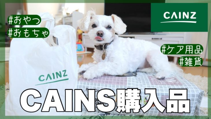 【カインズ購入品】ペット用品が安くて実用的で最高すぎる🐶【犬との暮らし】