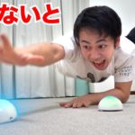 光ったら即押さなきゃいけないボタンでまさかの大怪我したwww