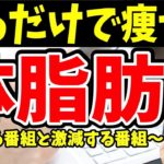 【ダイエット】見るだけで体脂肪が1.14%増えて体重が5kg以上も増える番組と今すぐ見るだけで45%も痩せる方法【見るだけダイエット｜歩くより痩せる｜中性脂肪】