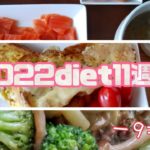 2022年ダイエット11週目記録【－9キロ】