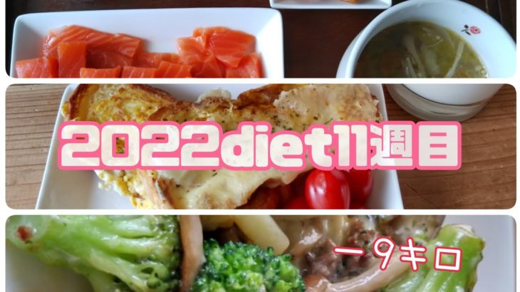 2022年ダイエット11週目記録【－9キロ】
