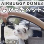 【AIRBUGGY DOME3】初めてペットカートに乗ってお散歩するラグドール