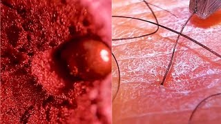 Easy Makeup 2022 /Part 104/ 2022年の美しいメイクトレンド