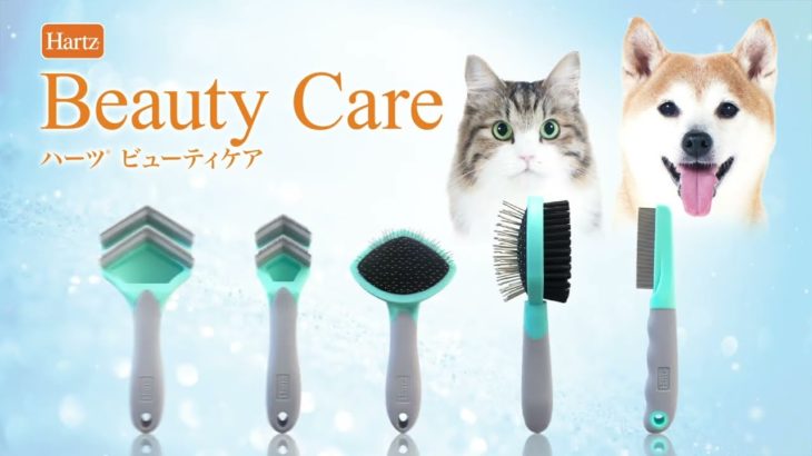 ハーツビューティケアシリーズ