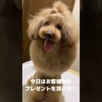 【ダイエット中にお菓子を貰ったら…】