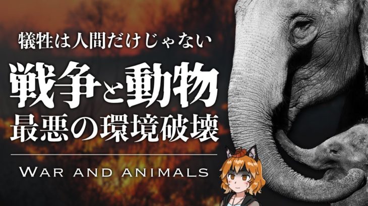 【ゆっくり解説】戦争と被災動物｜野生動物・動物園・ペットを守るためにできること