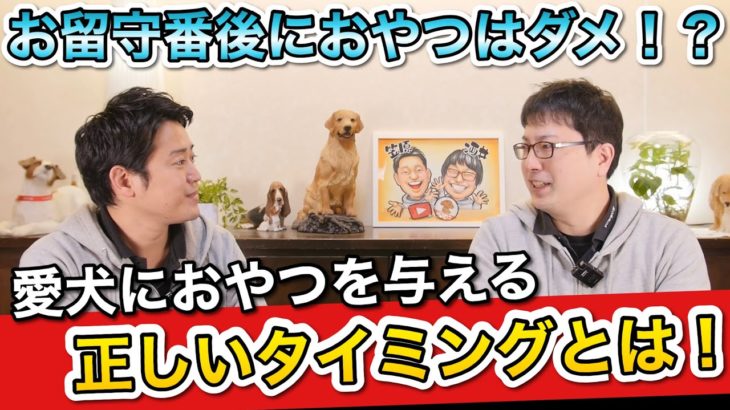 【愛犬におやつを与えるベストなタイミングとは】ペットショップ店長が解説します！