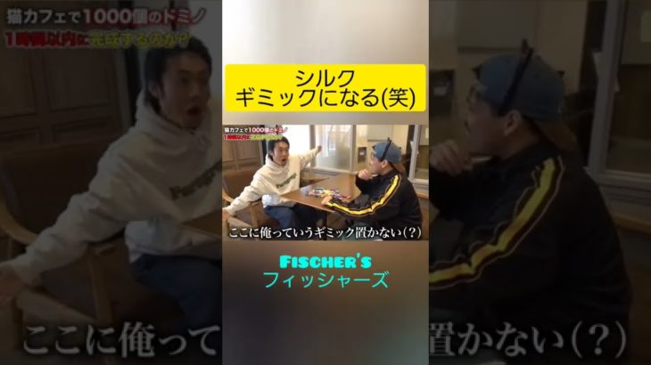 猫カフェでドミノのギミックに！？w  #Fischer’s #シルク #shorts #フィッシャーズ