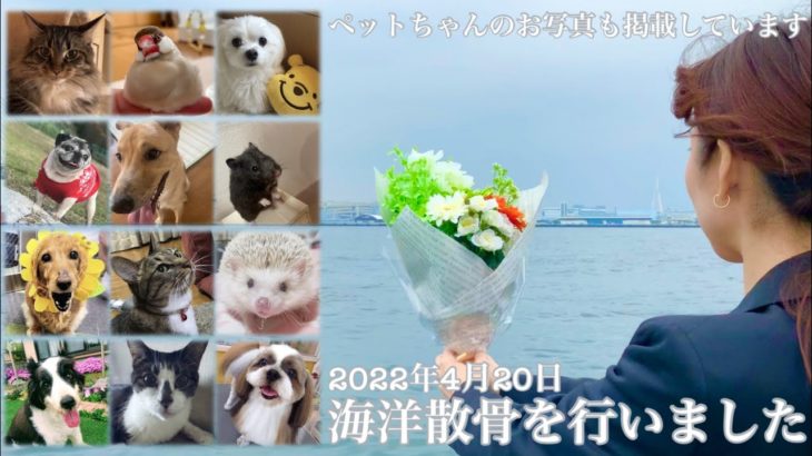ペットの旅立ち　2022年4月20日海洋散骨