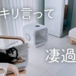 画期的！超便利&おしゃれアイテム3選✨ペットグッズ｜デスク｜家電｜オーブンレンジ