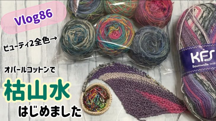 【Vlog86】編み日記☆枯山水はじめました☆靴下☆ビューティ2☆