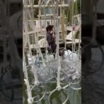 【極寒】アスレチックパークで、、、#shorts #爆笑 #オタク #フィッシャーズ #ヒカキン #ヒカル #ひろゆき #コムドット #アスレチックパーク#スカイピース #チャンネル登録お願いします